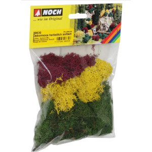 Noch 08630 Lichen, Autumn Mix, 35 g