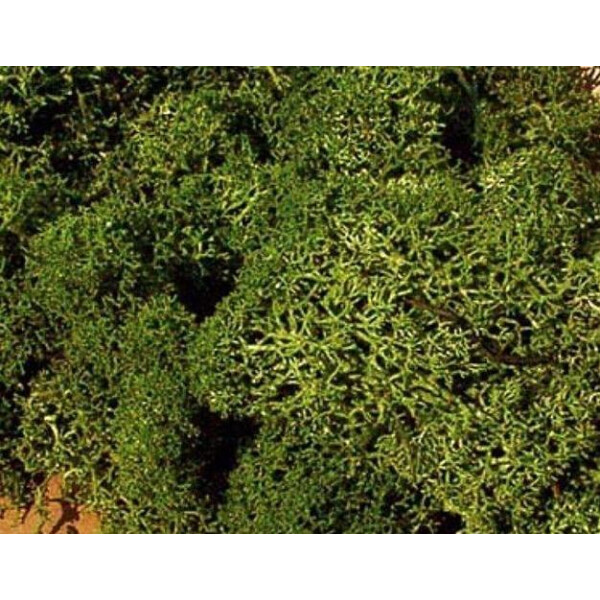 Heki 3222 Islandmoos, mittelgrün, 75 g