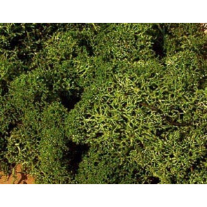Heki 3222 Islandmoos, mittelgrün, 75 g