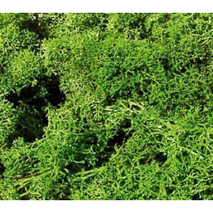Heki 3230 Islandmoos, hellgrün, 250 g