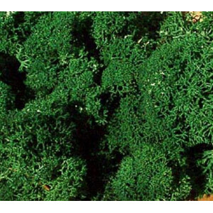 Heki 3231 Islandmoos, dunkelgrün, 250 g