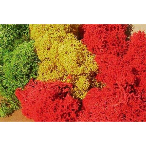 Heki 3232 Islandmoos, farblich sortiert, 250 g
