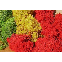 Heki 3232 Islandmoos, farblich sortiert, 250 g