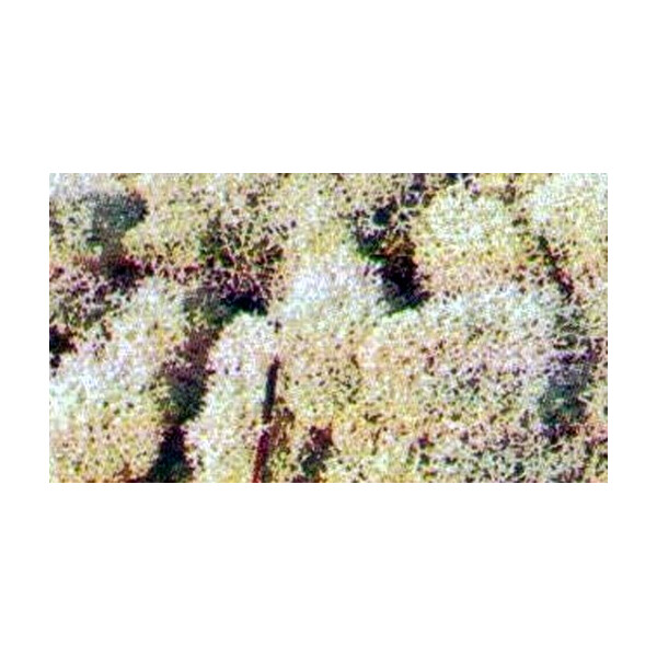 Heki 3233 Islandmoos, grau, 250 g