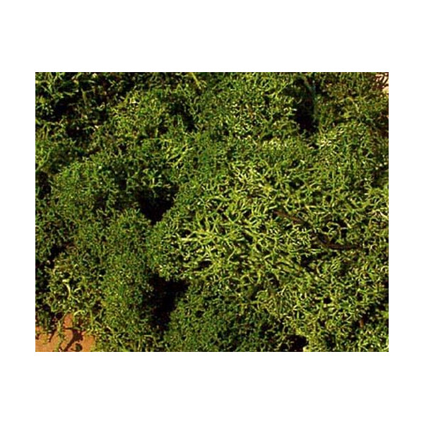 Heki 3234 Islandmoos, mittelgrün, 250 g
