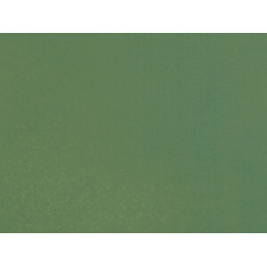 Noch 61194 Acrylfarbe matt, hellgrün, 90 ml