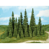 Heki 2150 10 Tannen, 3-5 cm hoch, Z-H0