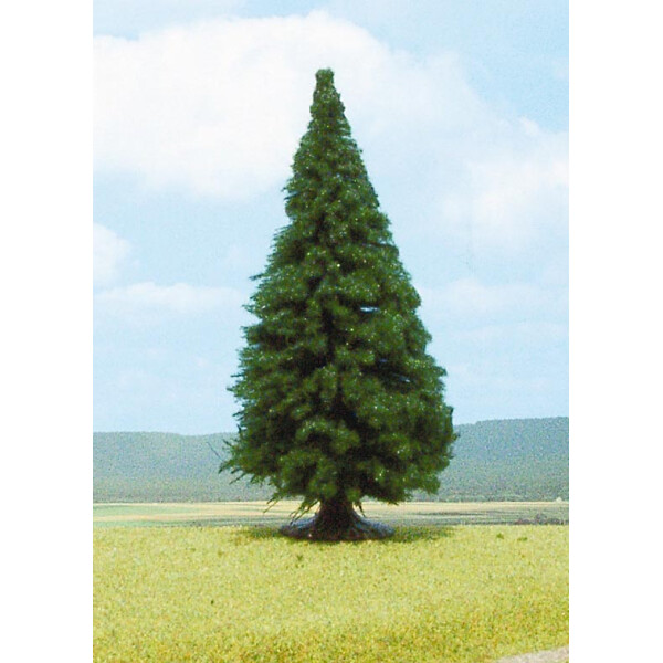 Heki 2341 1 fir, 25 cm, 0-G