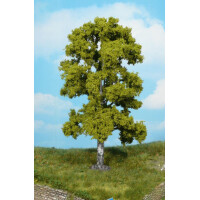 Heki 1923 Birch tree, 18 cm, TT-H0