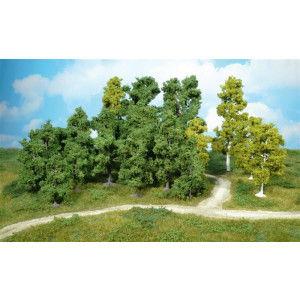 Heki 1950 10 trees, 8-12 cm, Z-H0