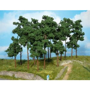 Heki 1953 9 pines, 9-16 cm, N-H0