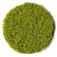 Heki 3386 Flocken, mittel, hellgrün, 200 ml
