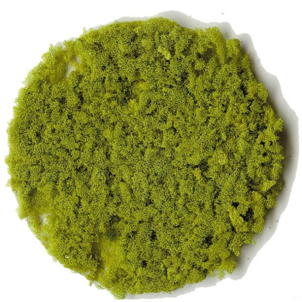 Heki 3388 Foliage Flakes, coarse, light green, 200 ml