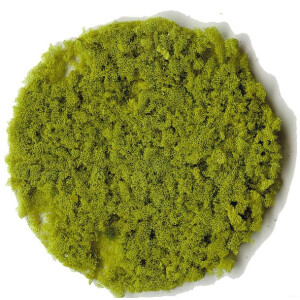 Heki 3388 Foliage Flakes, coarse, light green, 200 ml