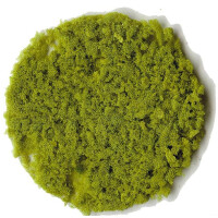 Heki 3388 Foliage Flakes, coarse, light green, 200 ml