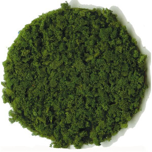 Heki 3389 Flocken, grob, dunkelgrün, 200 ml
