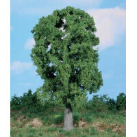 Heki 1987 1 Eiche, 20 cm hoch, H0-G