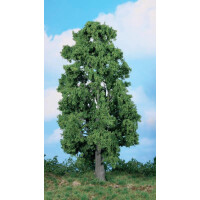 Heki 1988 1 Kastanie, 30 cm hoch, 0-G