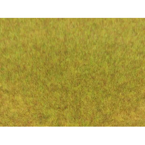 Heki 3371 Grasfaser Wildgras, 75 g