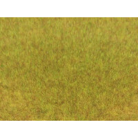 Heki 3371 Grasfaser Wildgras, 75 g