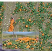 Busch 1201 Pumpkin field, H0