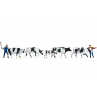 Noch 15724 Drover & Cows, 2 figures + 5 cows, H0