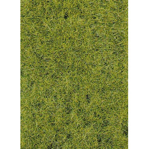 Heki 3376 Grasfaser Frühling, 50 g