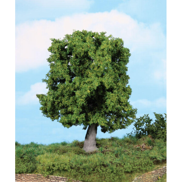Heki 1945 1 oak tree, TT-G