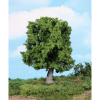 Heki 1945 1 oak tree, TT-G