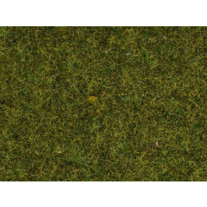Noch 08312 Scatter Grass Meadow, 2,5 mm, 20 g, Z - G