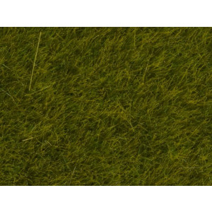 Noch 07100 Wild Grass, Meadow, 6 mm, 50 g, TT - G