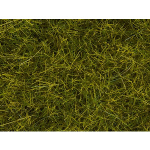 Noch 07110 Wild Grass XL, Meadow, 12 mm, 40 g, H0 - G
