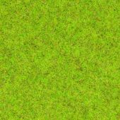 Noch 08300 Frühlingswiesen-Gras, 20 g