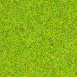 Noch 08300 Spring Meadow Green Grass, 20 g