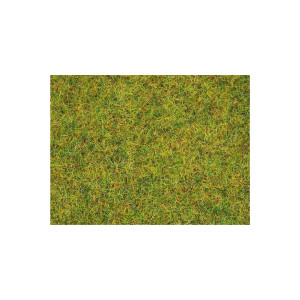 Noch 08310 Summer Meadow Green Grass, 20 g