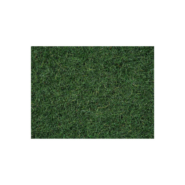 Noch 08320 Moorboden-Gras, Streugras, 20 g
