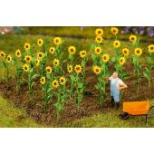 Faller 181256 16 Sunflowers, H0