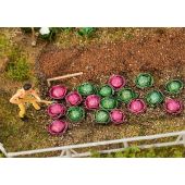 Faller 181263 10 Heads of cabbage and 10 heads of red...