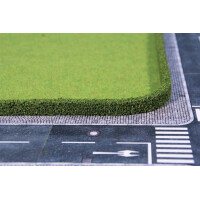 Heki 1757 2 thuja hedges, each 50 cm long, Z-H0