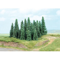 Heki 2236 20 Silbertannen, 5-9 cm, Z-H0