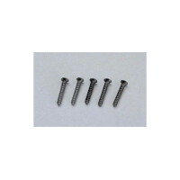 Piko 55298 Gleisschrauben (Kreuzschlitz) 1,46 mm x10 mm, ca. 400 Stück, H0