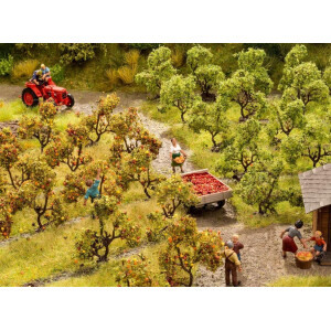 Noch 21537 Plantagenbäume mit Äpfeln, Z - N