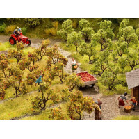 Noch 21537 Plantagenbäume mit Äpfeln, Z - N