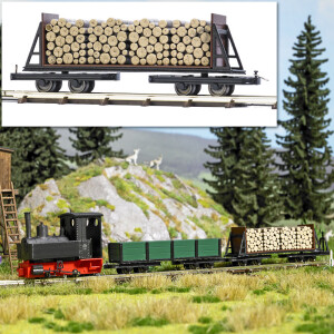 Busch 12247 Drehgestell-Stirnwandwagen, H0f
