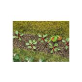 Faller 181273 28 Rhubarb plants, H0