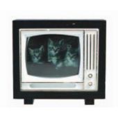 Beli-Beco 177 Fernseher, schwarz-weiß, Höhe 55 mm