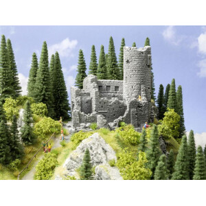 Noch 58605 Castle Ruin, H0