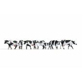 Noch 15725 Cows, black-white, H0
