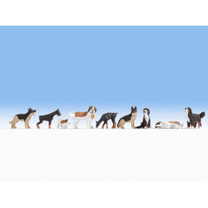 Noch 36717 Dogs, N