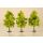 Auhagen 70937 Deciduous trees light green 11 cm, N - H0